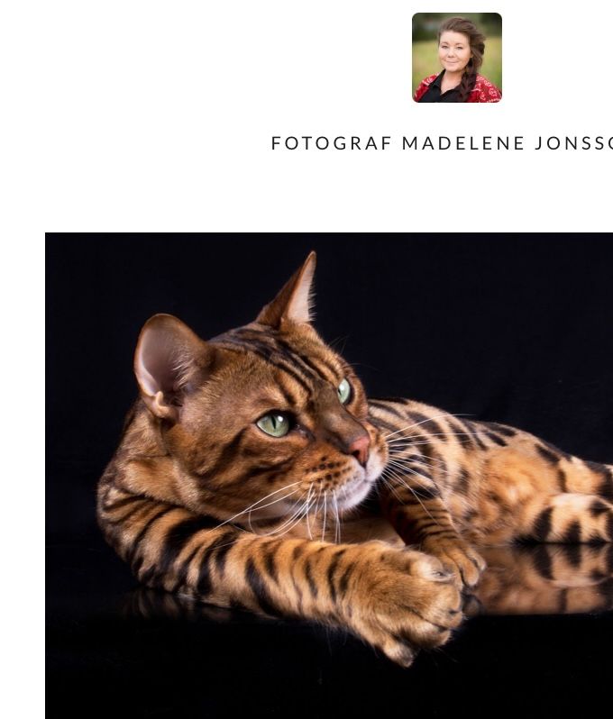 Fotograf Madelene Jonsson kommer!